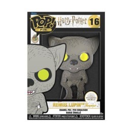 Figuren Pop! Ansteck-Pin Harry Potter Remus Lupin Funko Pop Schweiz