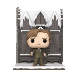 Figurine Pop! Deluxe Harry Potter La Cabane Hurlante avec Remus Lupin Funko Pop Suisse