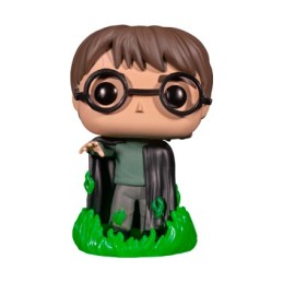 Figurine Pop! Phosphorescent Harry Potter et la Chambre des Secrets Harry avec Floo Powder Edition Limitée Funko Pop Suisse